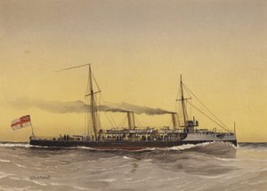 HMS Speedwell, torpedotykkivene