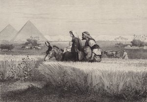 Lento Egyptiin