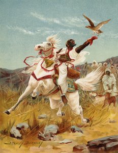 Hawking Marokossa (chromolitho)