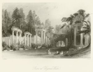 Rauniot Virginia Waterissa