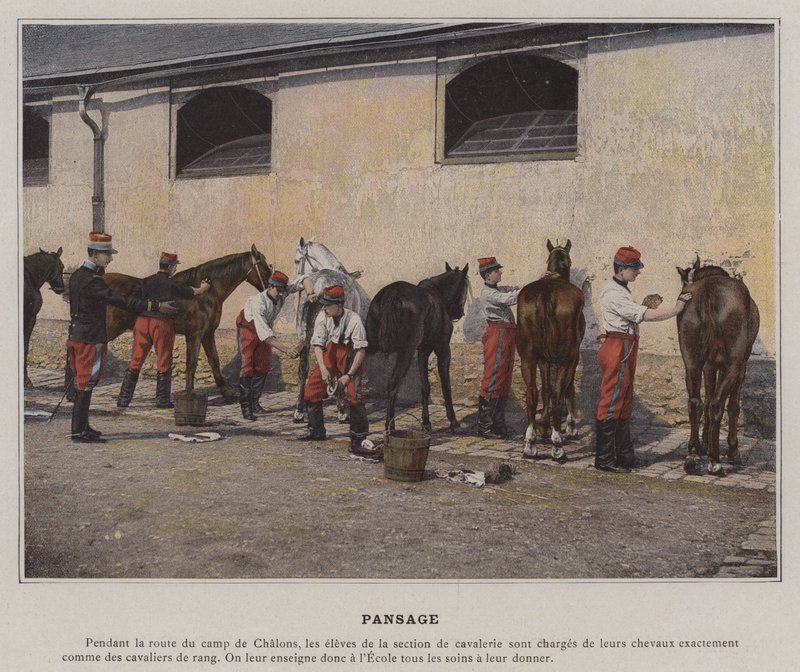 Pansage (värillinen kuva) tekijältä (after) French Photographer