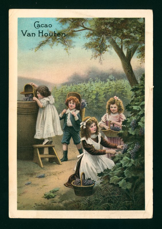 Lapset poimimassa viinirypäleitä (chromolitho) tekijältä (after) French School