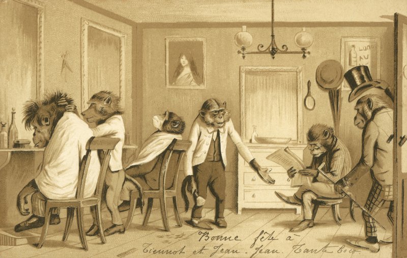 Apina pyörittää parturia tekijältä French School