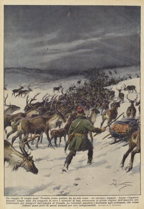 Viiden vuoden matka! tekijältä Achille Beltrame
