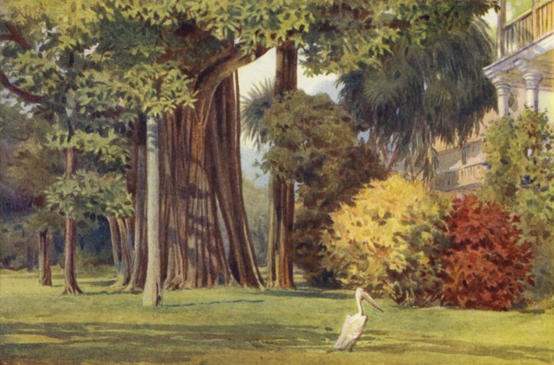 Queens House, Colombo tekijältä Alexander Henry Hallam Murray
