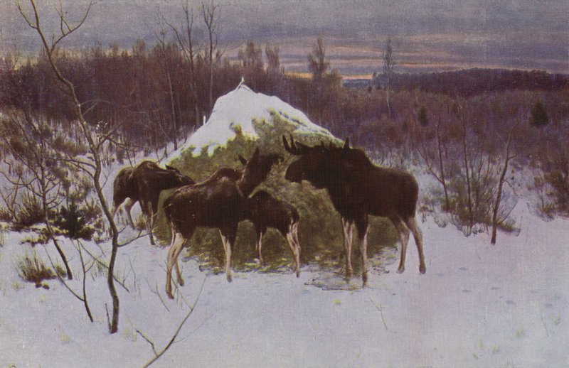Hirvilauma, 1889 tekijältä Alexei Steipanovitch Stepanov