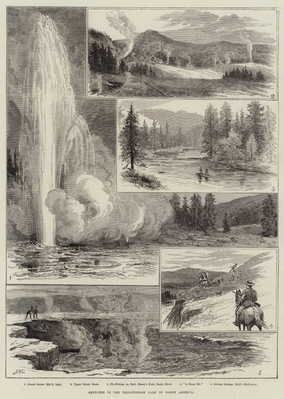 Luonnokset Yellowstone Parkissa Pohjois-Amerikassa tekijältä Alfred W. Cooper