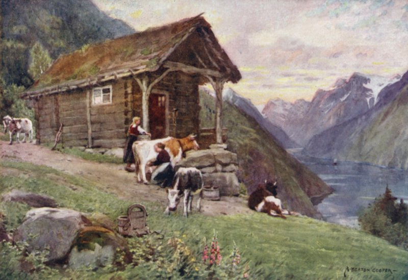 Norjalainen vuono tekijältä Alfred Heaton Cooper