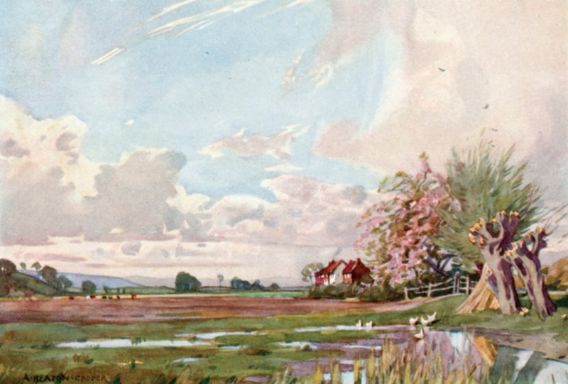 Athelneyn saari (väri litho) tekijältä Alfred Heaton Cooper