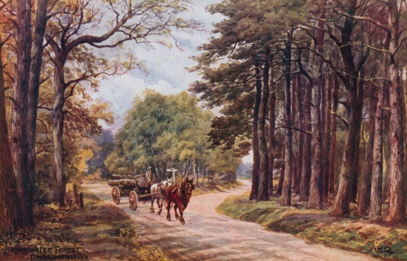 Broadwater Forest, Tunbridge Wells tekijältä Alfred Robert Quinton