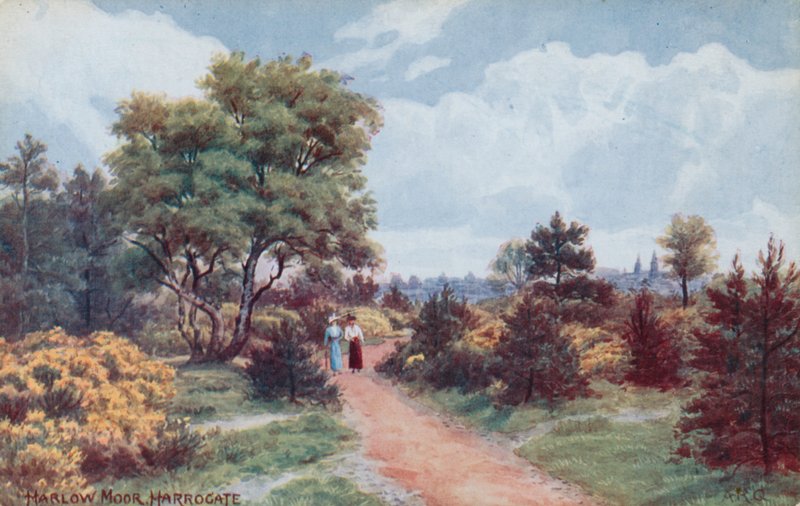 Harlow Moor, Harrogate tekijältä Alfred Robert Quinton