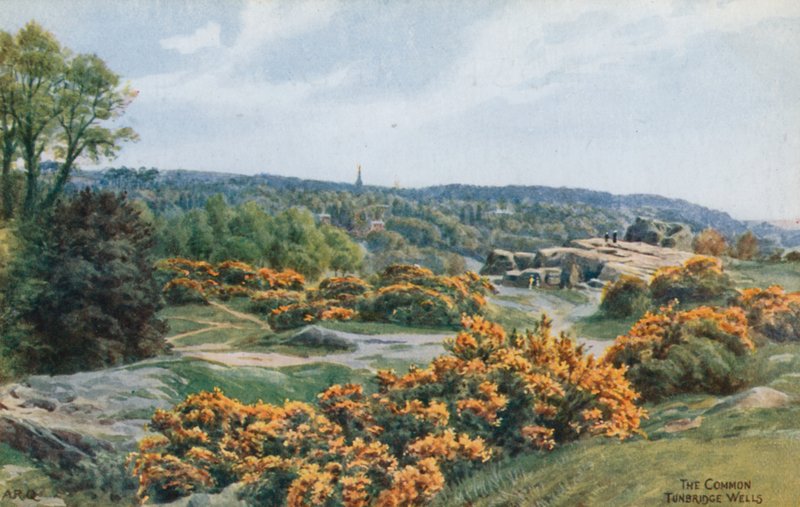 Yhteinen, Tunbridge Wells tekijältä Alfred Robert Quinton
