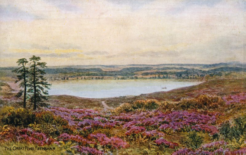 Suuri lampi, Frensham tekijältä Alfred Robert Quinton