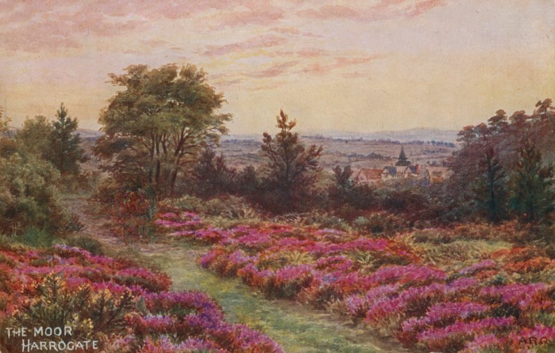Moor, Harrogate tekijältä Alfred Robert Quinton