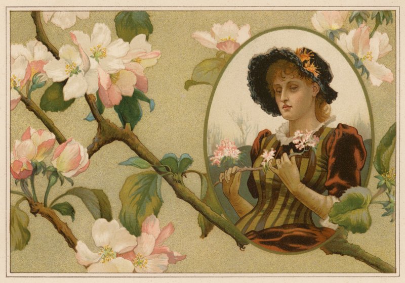 Siveellinen omenanoksa (chromolitho) tekijältä Alice Havers