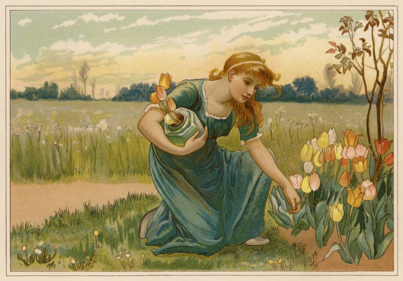 Päivänkakkara (chromolitho) tekijältä Alice Havers