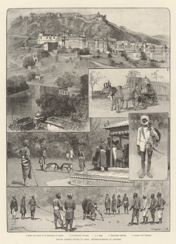 Prinssi Albert Victor Intiassa, Entertainments at Jeypore tekijältä Amedee Forestier