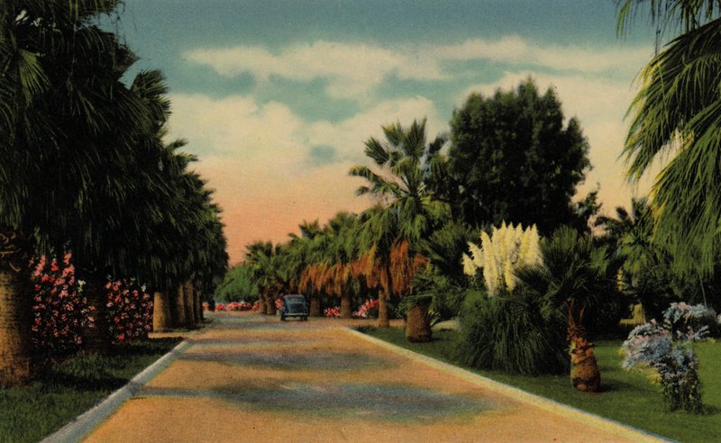 Phoenix, Arizona: Country Club Park (kuva) tekijältä American Photographer (after)
