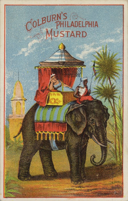 Elephant Ride tekijältä American School