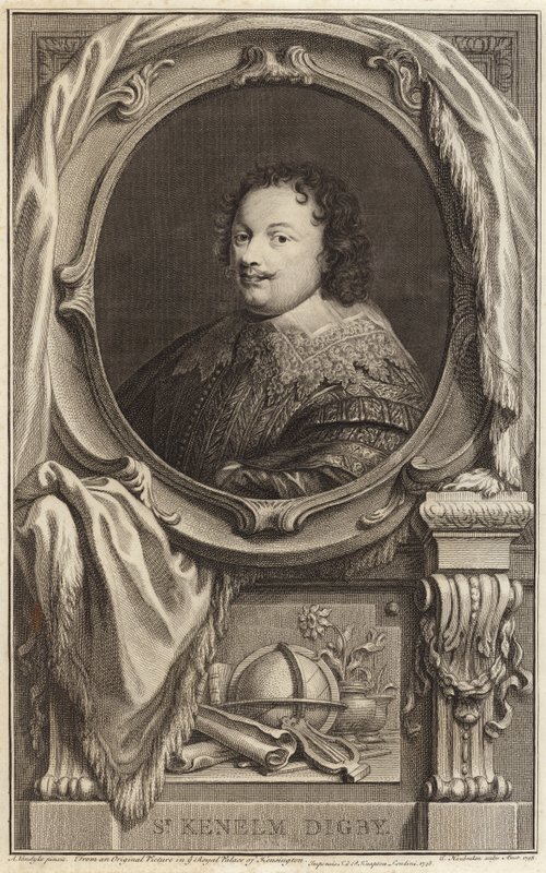 Sir Kenelm Digbyn muotokuva tekijältä Anthony van Dyck