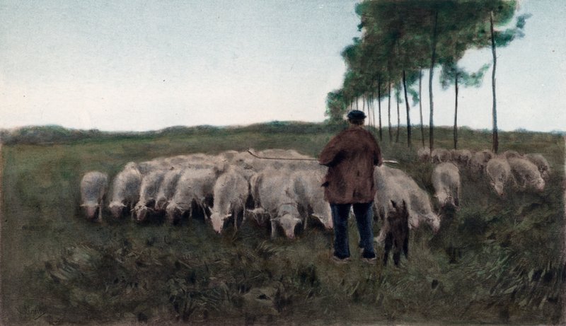 Syksy (väripainopaino) tekijältä Anton Mauve