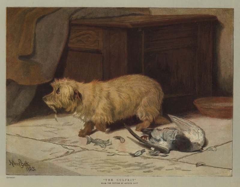 Syyllinen (chromolitho) tekijältä Arthur Batt