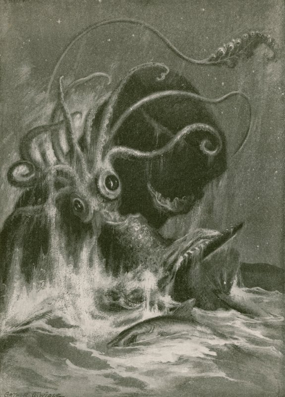 Kraken vs. sperma tekijältä Arthur Twidle