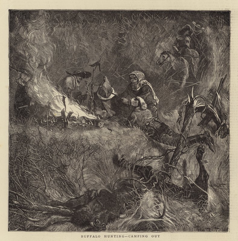 Buffalo Metsästys, telttailu tekijältä Arthur Boyd Houghton