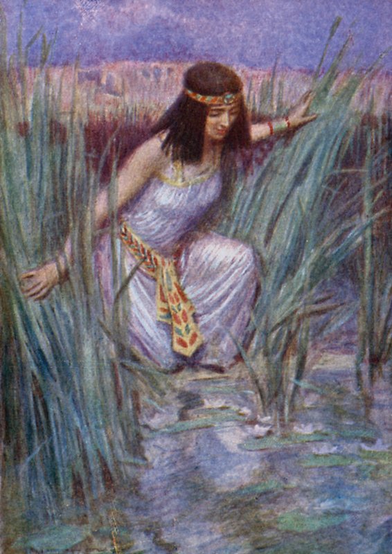 Lotus Flowers (väri litho) tekijältä Arthur C. (after) Michael