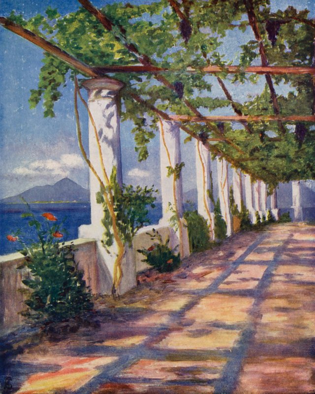 Pergola (värilitro) tekijältä Augustine Fitzgerald