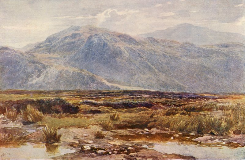 Cader Idris (värilitografia) tekijältä Augustus Watford Weedon