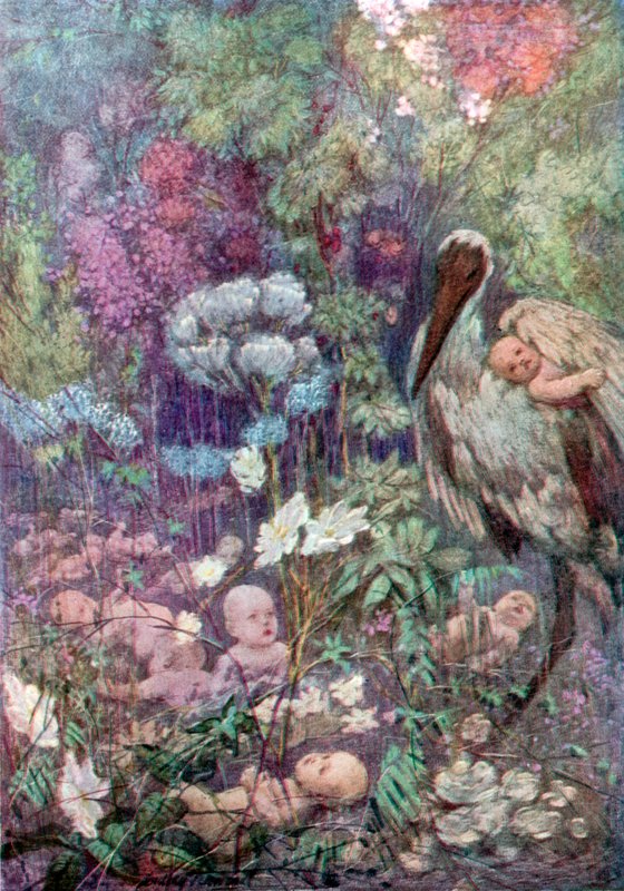 Babyland (väri litho) tekijältä C. Dudley (after) Tennant