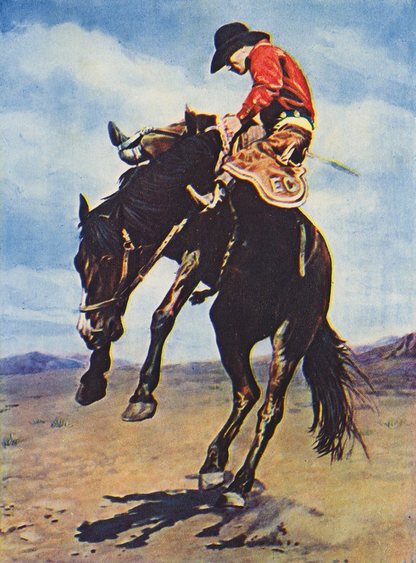 Cowboy ratsastamassa ratsastajaratsulla (värillinen kuva) tekijältä Canadian Photographer