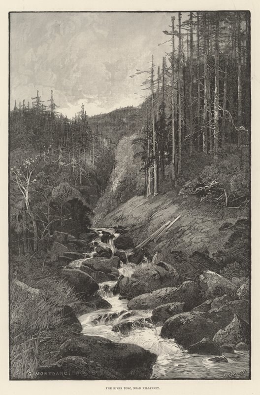 Torc-joki Killarneyn lähellä tekijältä Charles Auguste Loye