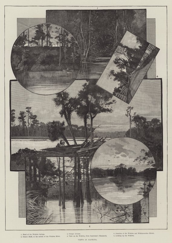 Näkymät Floridassa tekijältä Charles Auguste Loye