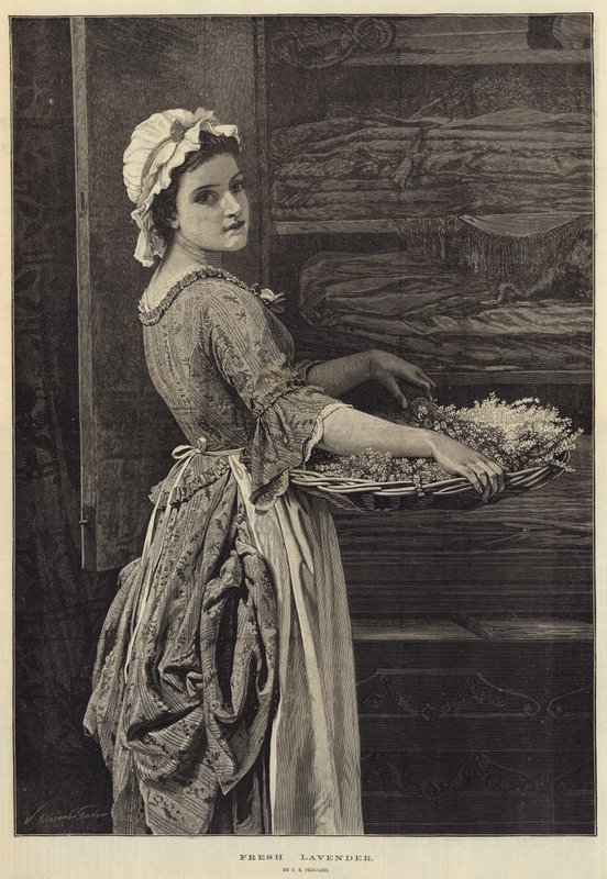Tuore Laventeli tekijältä Charles Edward Perugini