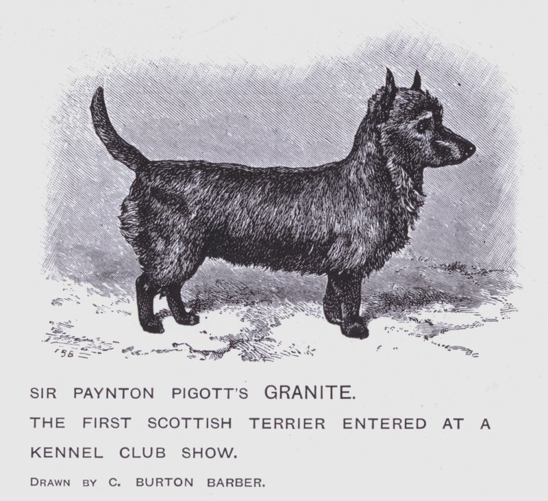 Sir Paynton Pigottin graniitti (litho) tekijältä Charles Burton (after) Barber