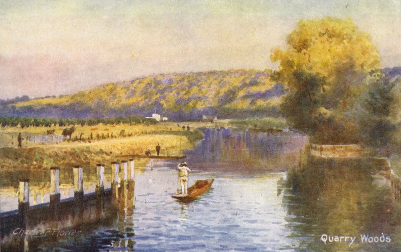 Thames-joki: Quarry Woods (värilitro) (värilitro) tekijältä Charles Edwin Flower