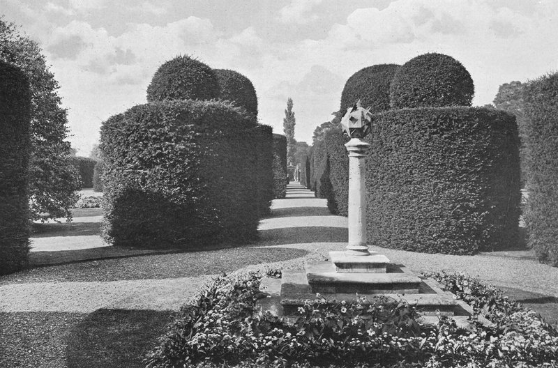 Heslington Hall: Shapely Topiary Work tekijältä Charles Latham