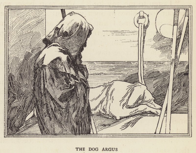 Koira Argus tekijältä Sir John Charles Robinson