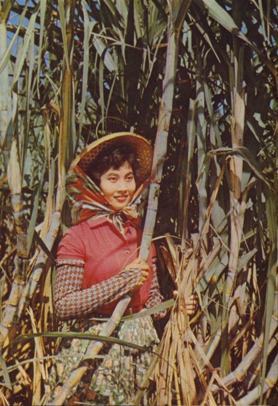 Taiwan: Cane Sugarfinnish tekijältä Chinese Photographer