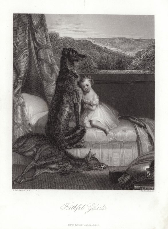 Uskollinen Gelert tekijältä Daniel Maclise