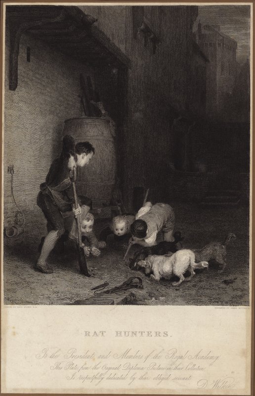 Rotan metsästäjät tekijältä David Wilkie