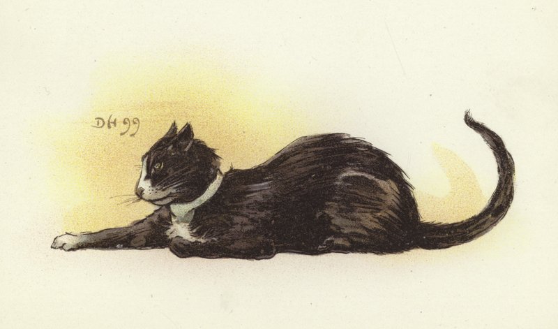 Savoy Cat tekijältä Dudley Hardy