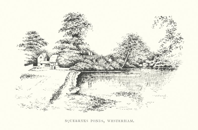 Squerryes Ponds, Westerham (litografia) tekijältä Duncan Moul