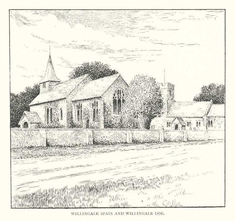 Willingale Spain ja Willingale Doe (litografia). tekijältä Duncan Moul