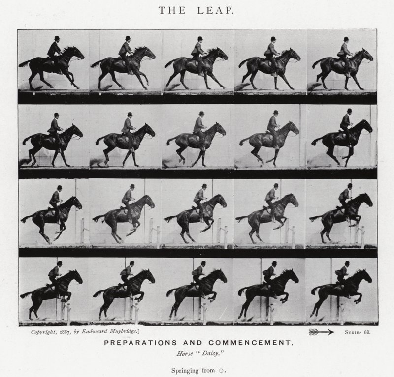 Eadweard Muybridge: The Leap (m/w kuva) tekijältä Eadweard Muybridge