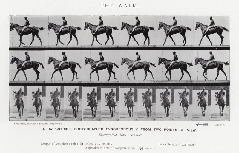 Eadweard Muybridge: The Walk (m/w kuva) tekijältä Eadweard Muybridge