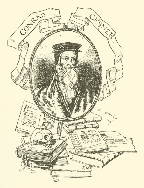 Conrad Gesner tekijältä Edmund Joseph after Sullivan