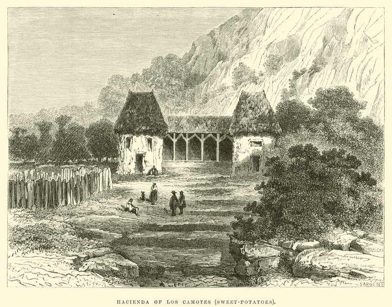 Hacienda of Los Camotes, makeat perunat tekijältä Edouard Riou